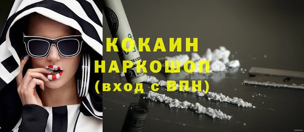 молекула духа Осташков