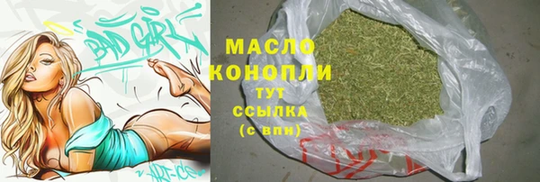 молекула духа Осташков