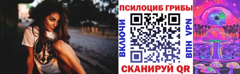 где найти наркотики  Мирный  Псилоцибиновые грибы MAGIC MUSHROOMS 