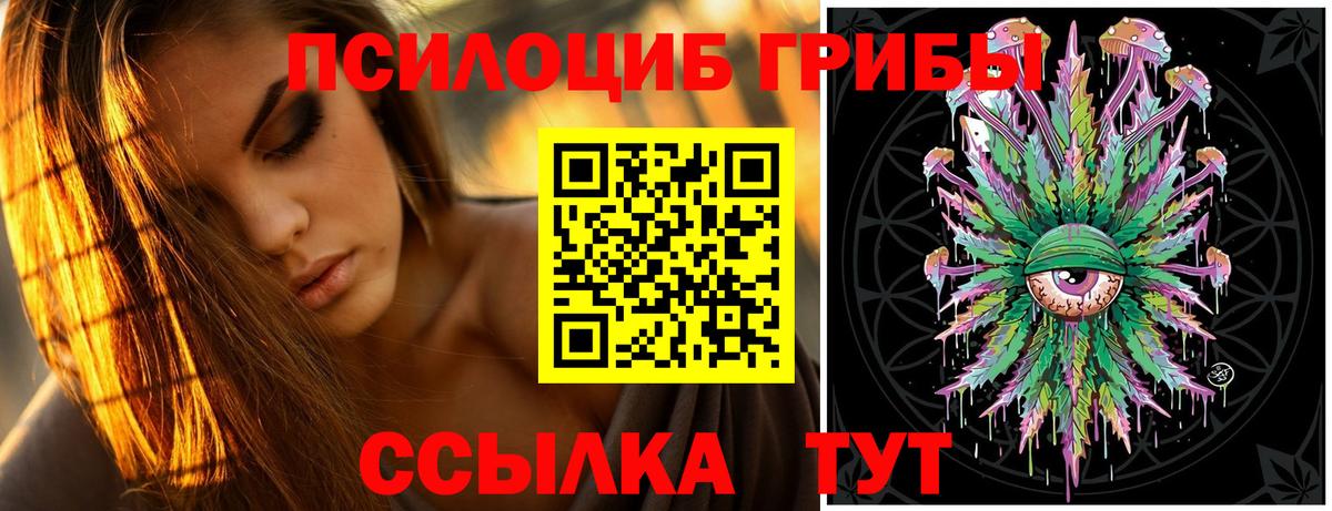 Мирный  Псилоцибиновые грибы Cubensis  Вход с VPN 